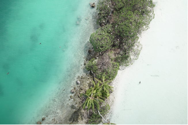 Aerial drone imagery of Palmyra Atoll ©The Nature Conservancy